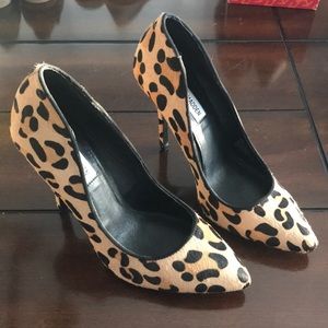 NWOB Steve Madden Leopard Pumps
